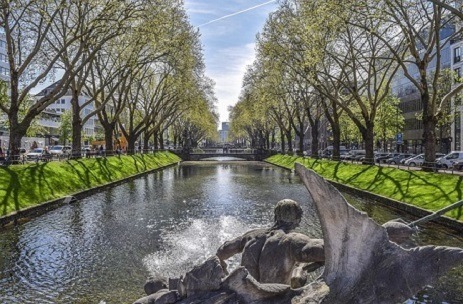 Ein Fluss mit Bäumen am Ufer in der Düsseldorfer Innenstadt nahe der Musikschule Emotio Düsseldorf